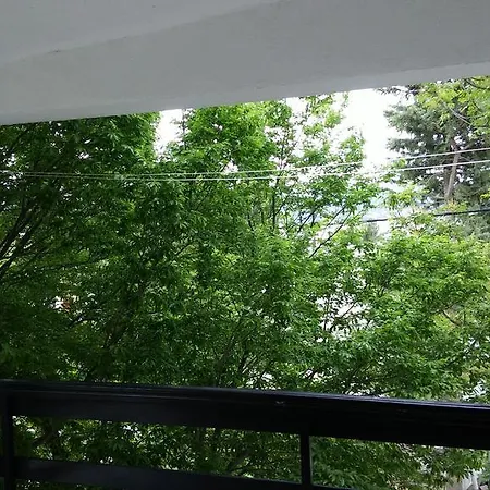 Lejlighed Andabak - Crna Punta Kruševo